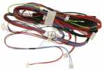 Harness - 140071354033 Harness pcb door (b) [Electrolux Aeg]