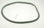 Seal - 40012725 Door Gasket [Candy Hoover]