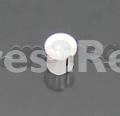 Smeg Cap - 768452695 Cap
